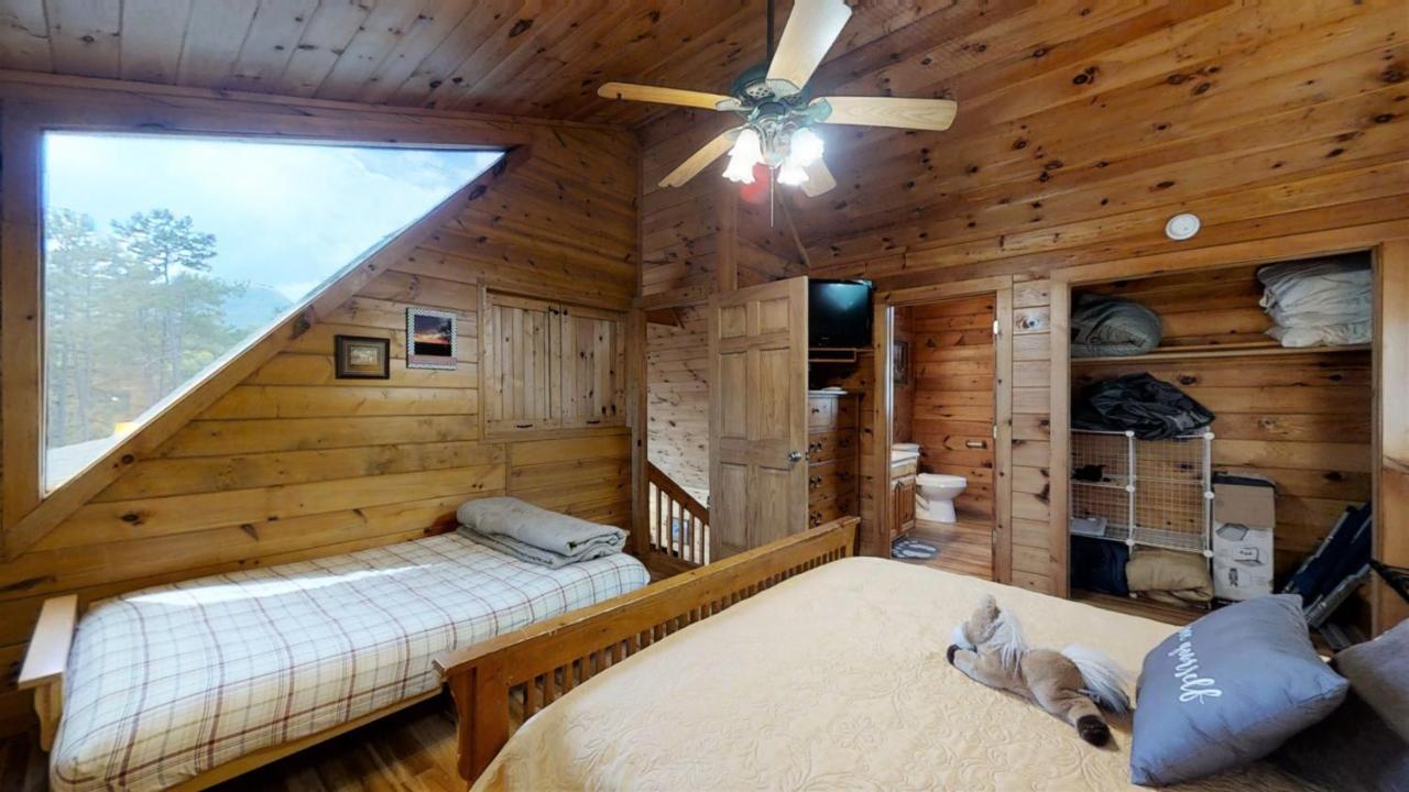 فيلا Hibernation Station Cabin سيفيرفيل المظهر الخارجي الصورة